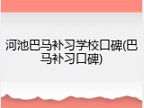 河池巴马补习学校口碑(巴马补习口碑)