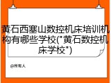 黄石西塞山数控机床培训机构有哪些学校("黄石数控机床学校")