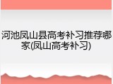 河池凤山县高考补习推荐哪家(凤山高考补习)