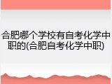 合肥哪个学校有自考化学中职的(合肥自考化学中职)