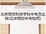 北京商务科技学校中专怎么样(北京商校中专如何)