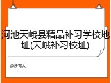 河池天峨县精品补习学校地址(天峨补习校址)