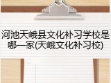 河池天峨县文化补习学校是哪一家(天峨文化补习校)