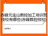 赤峰元宝山数控加工培训班技校有哪些(赤峰数控技校)