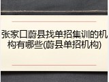 张家口蔚县找单招集训的机构有哪些(蔚县单招机构)