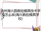 沧州海兴县数控模具技术学校怎么样(海兴数控模具学校)