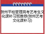 贺州平桂管理高考艺考生文化课补习班推荐(贺州艺考文化课补习)