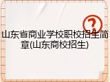 山东省商业学校职校招生简章(山东商校招生)