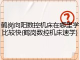 鹤岗向阳数控机床在哪里学比较快(鹤岗数控机床速学)