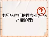 老母猪产后护理专业(母猪产后护理)