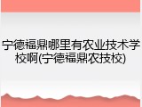 宁德福鼎哪里有农业技术学校啊(宁德福鼎农技校)