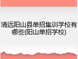 清远阳山县单招集训学校有哪些(阳山单招学校)