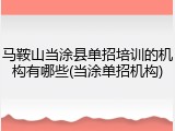 马鞍山当涂县单招培训的机构有哪些(当涂单招机构)