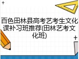 百色田林县高考艺考生文化课补习班推荐(田林艺考文化班)
