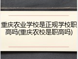 重庆农业学校是正规学校职高吗(重庆农校是职高吗)
