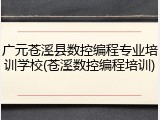 广元苍溪县数控编程专业培训学校(苍溪数控编程培训)