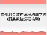 宿州泗县数控编程培训学校(泗县数控编程培训)