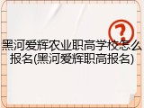 黑河爱辉农业职高学校怎么报名(黑河爱辉职高报名)