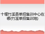 十堰竹溪县单招集训中心在哪(竹溪单招集训地)