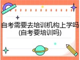 自考需要去培训机构上学吗(自考要培训吗)