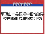 平顶山叶县正规单招培训学校在哪(叶县单招培训校)