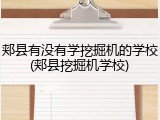 郏县有没有学挖掘机的学校(郏县挖掘机学校)