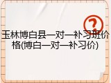 玉林博白县一对一补习班价格(博白一对一补习价)