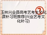 玉林兴业县高考艺考生文化课补习班推荐(兴业艺考文化补习)