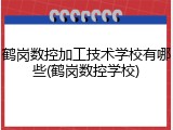 鹤岗数控加工技术学校有哪些(鹤岗数控学校)