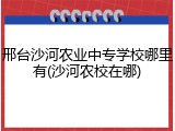 邢台沙河农业中专学校哪里有(沙河农校在哪)