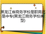 黑龙江省商务学校是职高还是中专(黑龙江商务学校类型)