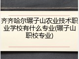 齐齐哈尔碾子山农业技术职业学校有什么专业(碾子山职校专业)
