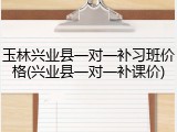 玉林兴业县一对一补习班价格(兴业县一对一补课价)