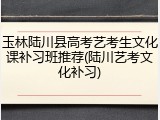 玉林陆川县高考艺考生文化课补习班推荐(陆川艺考文化补习)