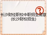 长沙财经职校中职招生简章(长沙财校招生)