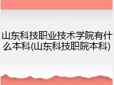 山东科技职业技术学院有什么本科(山东科技职院本科)