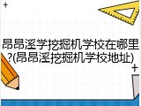 昂昂溪学挖掘机学校在哪里?(昂昂溪挖掘机学校地址)