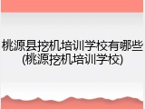 桃源县挖机培训学校有哪些(桃源挖机培训学校)