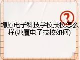 塘厦电子科技学校技校怎么样(塘厦电子技校如何)
