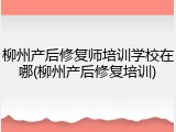 柳州产后修复师培训学校在哪(柳州产后修复培训)