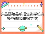 许昌鄢陵县单招集训学校有哪些(鄢陵单招学校)