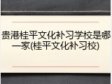 贵港桂平文化补习学校是哪一家(桂平文化补习校)