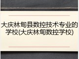 大庆林甸县数控技术专业的学校(大庆林甸数控学校)