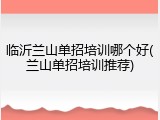 临沂兰山单招培训哪个好(兰山单招培训推荐)