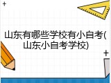 山东有哪些学校有小自考(山东小自考学校)