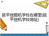 延平挖掘机学校在哪里(延平挖机学校地址)