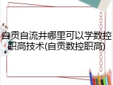 自贡自流井哪里可以学数控职高技术(自贡数控职高)