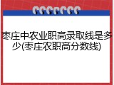 枣庄中农业职高录取线是多少(枣庄农职高分数线)
