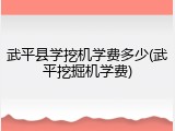武平县学挖机学费多少(武平挖掘机学费)
