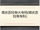 肇庆农校有大专吗(肇庆农校有专科)